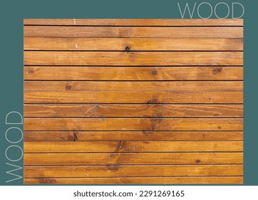 Bonita textura de madera con fondo verde