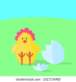 Nice yellow chicken Birthday from shell on Happy Easter on the background of green grass and blue sky
