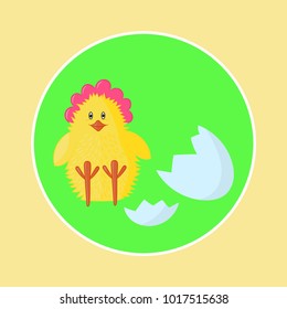 Nice yellow chicken Birthday from shell on Easter