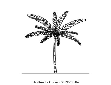 Nice young palm tree sketch vector design