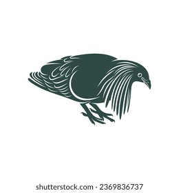Nicobar pigeon design vector illustration. Nicobar pigeon Silhouette. Bird design template.