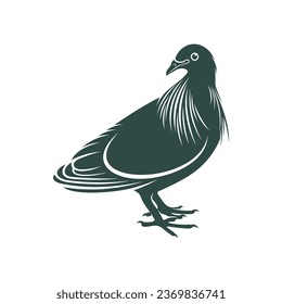 Nicobar pigeon design vector illustration. Nicobar pigeon Silhouette. Bird design template.