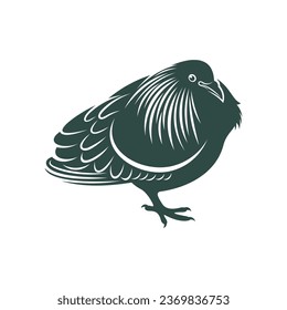 Nicobar pigeon design vector illustration. Nicobar pigeon Silhouette. Bird design template.