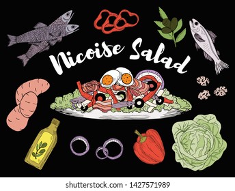 Nicoise Salad. Hand drawn healthy restaurant meals. Vector illustration.