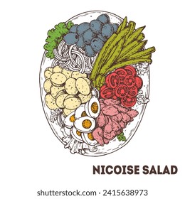 Nicoise salad hand drawn sketch. Top view. French food. Vector illustration.