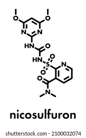 Nicosulfuron systemic herbicide molecule. Skeletal formula.