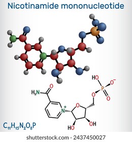 Nicotinamide mononucleotide, NMN molecule. It is naturally anti-aging metabolite, precursor of NAD+. Structural chemical formula, molecule model. Vector illustration