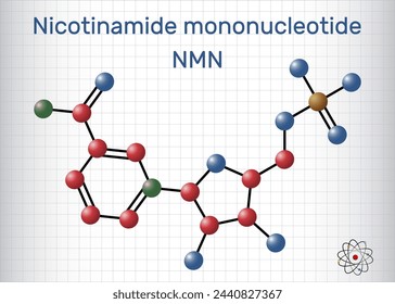 Nicotinamide mononucleotide, NMN molecule. It is naturally anti-aging metabolite, precursor of NAD+. Molecule model. Sheet of paper in a cage. Vector illustration