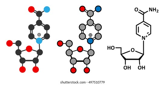 Nicotinamide riboside (NR) molecule. Stylized 2D renderings and conventional skeletal formula. Precursor of nicotinamide adenine dinucleotide (NAD). 