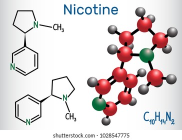 Nicotine molecule, is alkaloid , found in the nightshade family of plants. Structural chemical formula and molecule model. Vector illustration