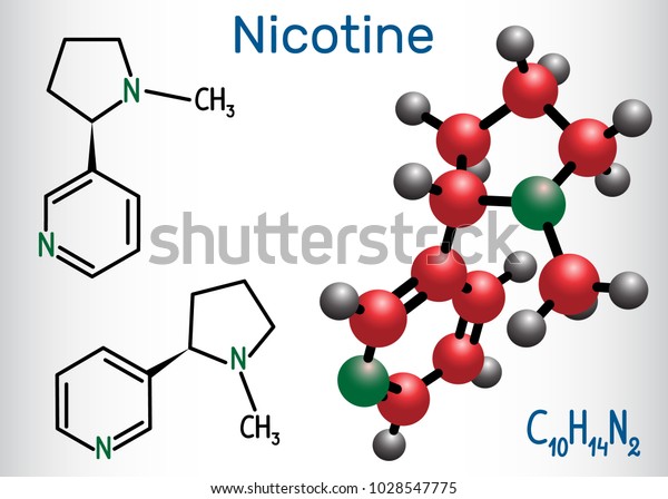 ニコチン分子はアルカロイドで 植物のナイトシェード科に見られる 構造化学式と分子モデル ベクターイラスト のベクター画像素材 ロイヤリティフリー