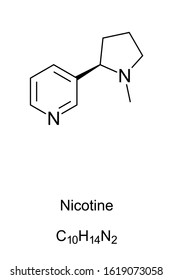 Nicotine molecule skeletal formula. 2D structure of C10H14N2, an addictive stimulant and alkaloid dried tobacco leaves for cigarettes and cigars. Structural formula. Illustration over white. Vector.