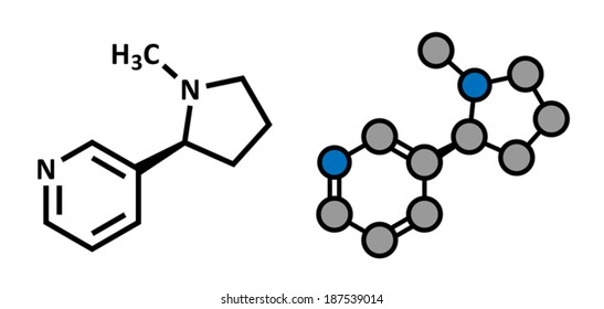 Nicotine tobacco stimulant molecule. Main addictive component in cigarette smoke. Stylized 2D rendering and conventional skeletal formula.