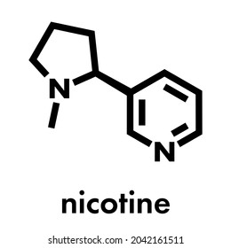 Nicotine tobacco stimulant molecule. Main addictive component in cigarette smoke. Skeletal formula.