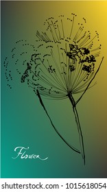 Nifty gentle flower botanical visit card. Noble bloom leave. Vintage nature element on Blue and yellow colored background. Ink drawing sketch. Spring  time color transitions lined design. 