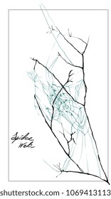 Nifty gentle hand drawn botanical stalk. Vintage nature element for visit card or wedding invitation. cobweb spider web on twig .  line botanical insect gossamer. Herbal culm. Branch in forest.