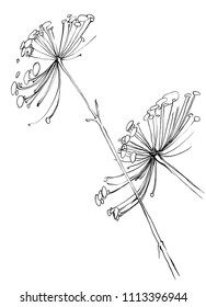 Nifty gentle hand drawn botanical stalk. Vintage nature element for visit card or wedding invitation. Stylish flower, fancy blossom. Black line botanical motiv. Soft ecological ink Herbal culm.
