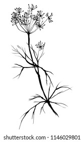 Nifty gentle hand drawn botanical stalk. Vintage nature element for visit card or wedding invitation. Stylish inking flower wall art, fancy blossom. Black line botanical motiv. Herbal culm.