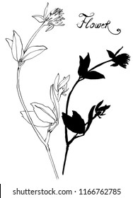 Nifty gentle hand drawn botanical stalk. Vintage nature element for visit card or wedding invitation. Stylish flower, fancy blossom. Black line and silhouette botanical motiv. Herbal culm. Clover. 
