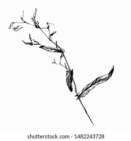 Nifty gentle hand drawn botanical stalk. Vintage nature element for visit card or wedding invitation. Stylish flower, fancy blossom. Black line botanical motiv. Herbal culm.
