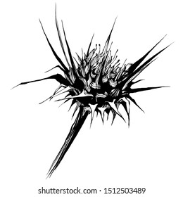 Nifty gentle hand drawn botanical stalk. Vintage spring nature element for visit card or wedding invitation. Stylish  flower, fancy blossom. Black line botanical motiv. Herbal culm.
