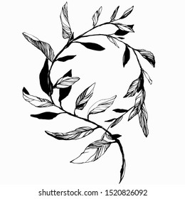 Nifty gentle hand drawn botanical stalk. Vintage nature element for visit card or wedding invitation. Stylish flower, fancy blossom. Black line botanical motiv. Herbal culm.
