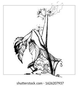 Nifty gentle hand drawn botanical stalk and fairy house. Vintage nature element for visit card or wedding invitation. Stylish flower, fancy blossom. Black line magic botanical motiv. Herbal culm.
