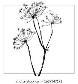 Nifty gentle hand drawn botanical stalk. Vintage nature element for visit card or wedding invitation. Stylish flower, fancy blossom. Black line botanical motif. Herbal culm.
Ink silhouette