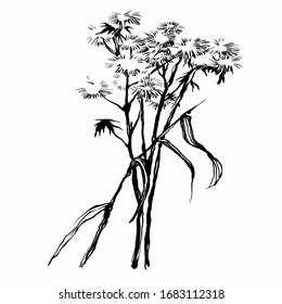 Nifty gentle hand drawn botanical stalk. Vintage nature element for visit card or wedding invitation. Stylish flower, fancy blossom. Black line botanical motiv. Herbal culm.
Ink silhouette