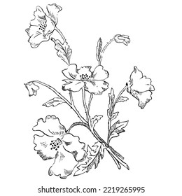 Nifty gentle hand drawn botanical stalk. Vintage nature element for visit card or wedding invitation. Stylish poppy flower, fancy blossom. Black line botanical motiv. Herbal culm.
Ink silhouette