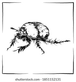 Pequeño y gentil insecto dibujado a mano. Elemento de naturaleza vintage para tarjeta de visita o invitación. Elegante línea de vuelo elegante. Fauna de tinta herbal. Signo de insecto blanco y negro.