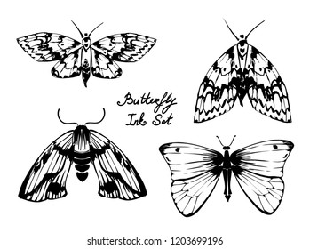 Nifty gentle hand drawn butterfly set. Vintage nature element for visit card or wedding invitation. Stylish ink drawn insect, fancy moth. Black line fauna motiv. Wildlife vintage
