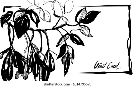 Nifty gentle ink hand drawn botanical stalk. Vintage nature element for visit card or wedding invitation. Stylish flower, fancy blossom. Black line botanical motiv. Herbal culm.