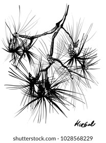 Nifty gentle ink hand drawn pine botanical stalk. Vintage nature element for visit card or wedding invitation. Stylish birch, fancy blossom. Black line botanical motiv. Herbal culm. 