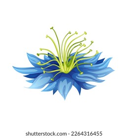 nigella sativa cumin black cartoon. health spice, caraway medicine, seed flower, oil cooking, culinary, ingredient, food indian nature nigella sativa cumin black vector illustration