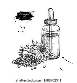 Nigella sativa essential oil bottle hand drawn vector illustration. Black cumin plant drawing for Aromatherapy, medicine, beauty and spa, cosmetic ingredient. Great for label, poster, packaging design