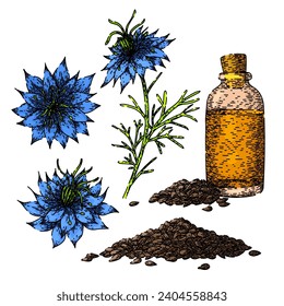 nigella sativa dibujada a mano. negro de especias, medicina de comino, boceto vectorial nigella sativa petal caraway. ilustración de color aislado