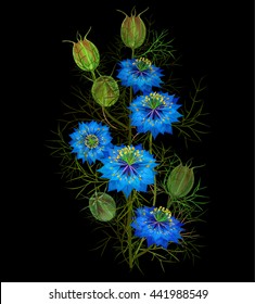 Nigella. Terni cumin. Flowering black cumin. Black cumin plant
