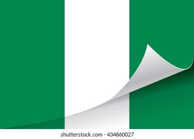 Nigeria flag vector illustration.