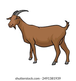 Nigerian dwarf goat Breeds of domestic goats, dairy goat, Flat vector illustration Isolated object on white background