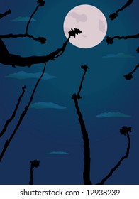nigh scene in nature