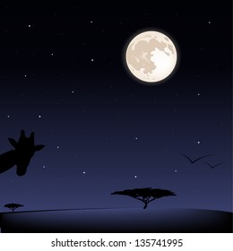 Night