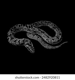 night adder hand drawing vector isolated on black background.