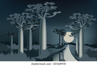 Night in the African baobab forest near the river