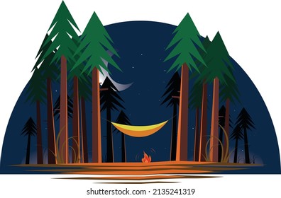 ambiente nocturno en el tranquilo bosque