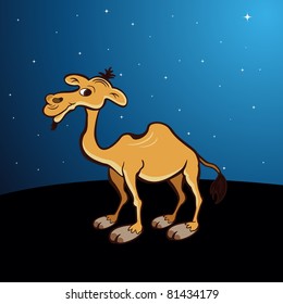 night background with camel, illustration