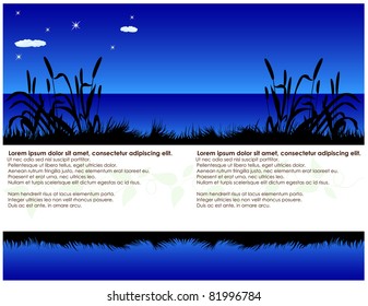 Night background consisting of grass silhouettes of clouds and sparkling stars