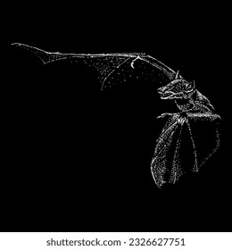 night bat hand drawing vector isolated on black background.