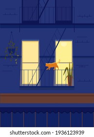 night blue house, yellow windows and orange cat. dark building facade and lighting from the balcony. modern cartoon flat style. evening home scene with a walking cat