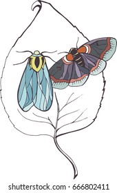 Night butterflies on foliage